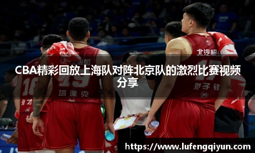 xc体育在线登录